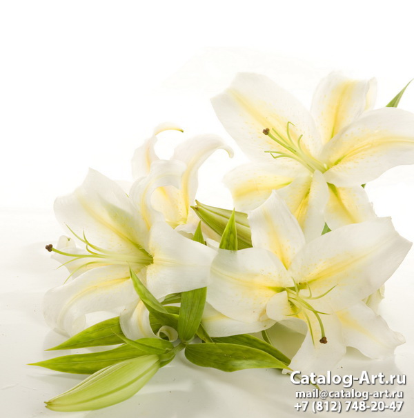 White lilies 13